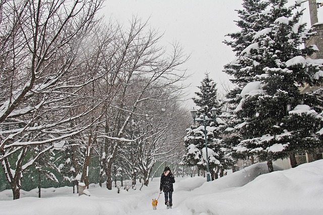 10 cm de neige en plaine, transports scolaire annulés en Hautes Pyrénées