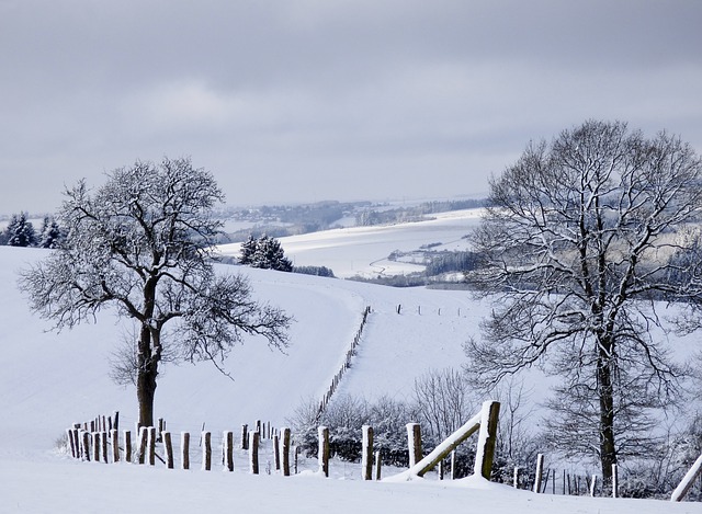 La neige tombe sur Tarbes et tient sur la route ce vendredi