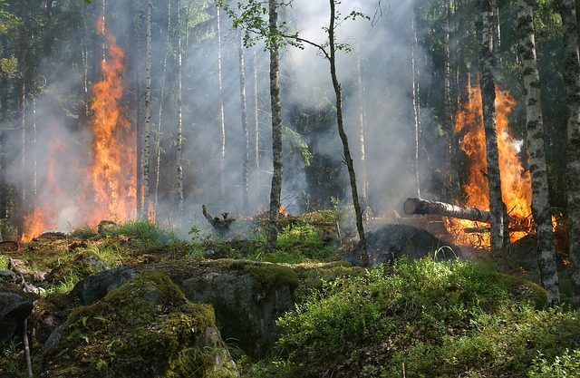 écobuages interdits dans les Hautes Pyrénées