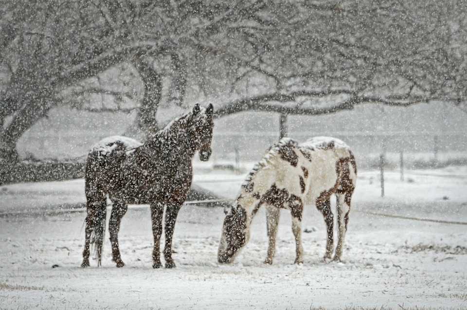 Neige sur Tarbes, samedi, dimanche et lundi - Tarbes7.fr (Blog)