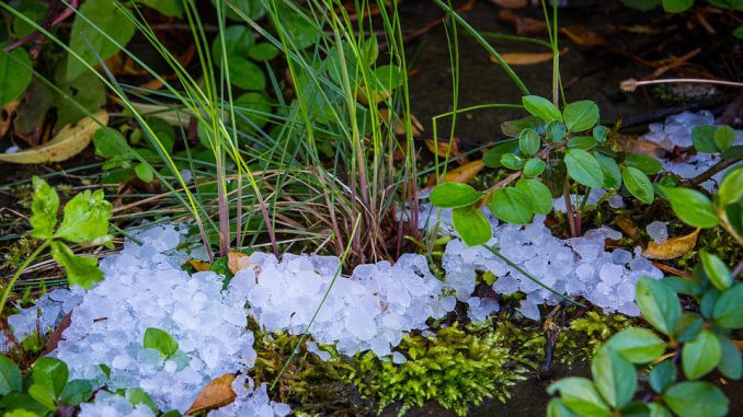 Vents violents et risque de grêle et orages sur le nord de la Bigorre lundi après midi Vents violents et risque de grêle et orages sur le nord de la Bigorre lundi après midi