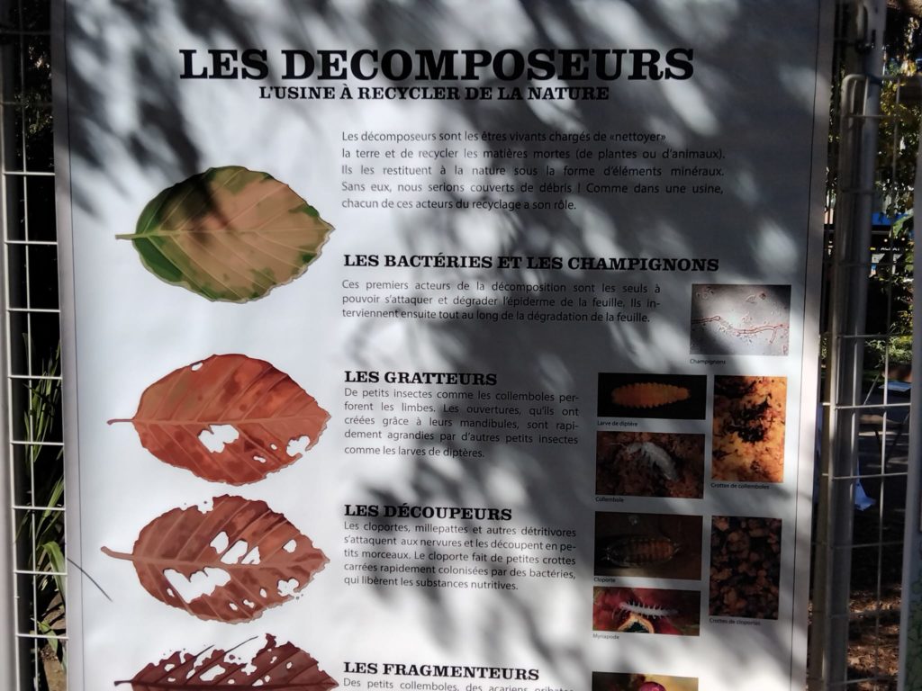 Dernières opérations samedi à Tarbes pour le Festival 0 déchets
